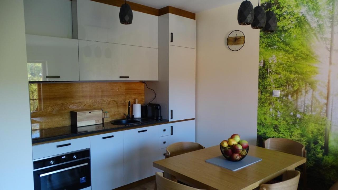 Apartament Delux 2 Шклярска-Поремба Экстерьер фото